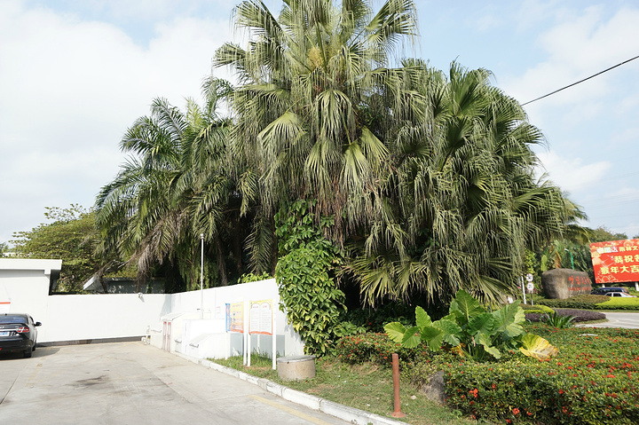 乘坐保亭三道口镇的中巴车就可以每人8元可以到景区大门口但是从景区