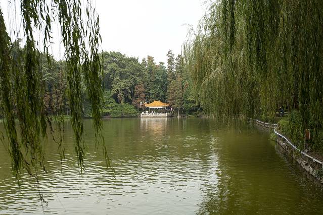 逸仙湖公园
