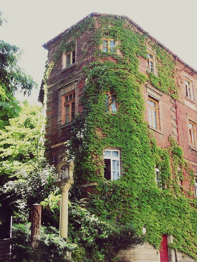 维尔茨堡主教宫