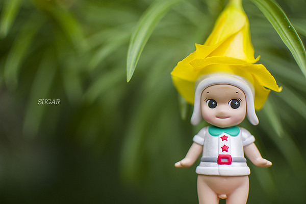 寻找冬日里的暖阳,海南三亚的风情万种