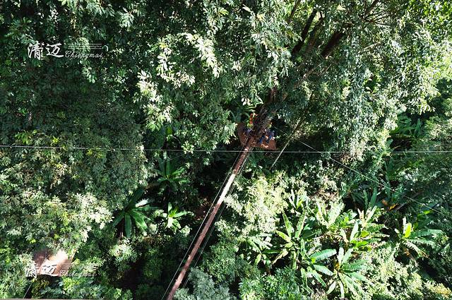 飞鼠索道滑轮－趣味冒险之旅