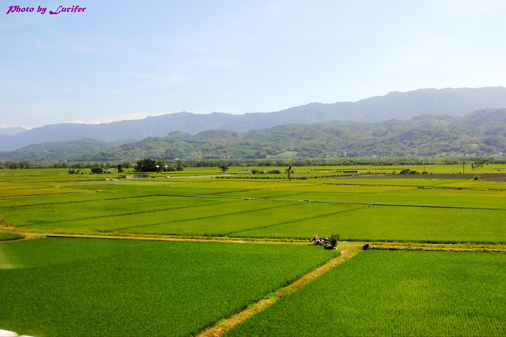 21从台东到花莲的一段 是台湾岛上最美的一段海岸线 确实如此 一片田园 花东纵谷 评论 去哪儿攻略