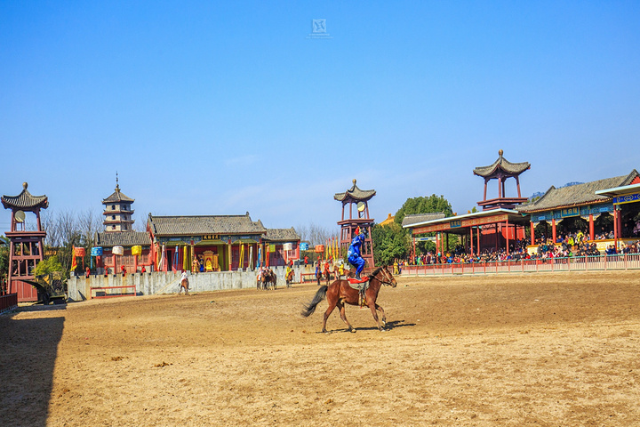 影视元素让风随马奔,心随马动,带来浴火重生般