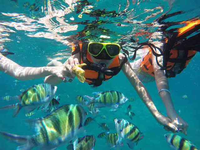 泰国行最爽的一个岛,那里海水比较干净适合浮潜,我们不会游泳的对潜水