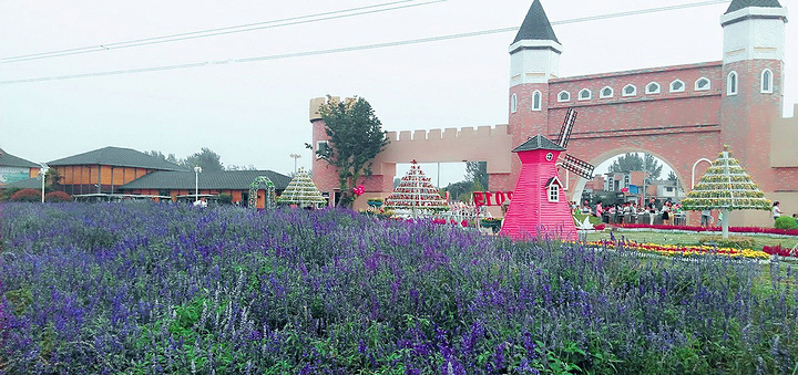 华西村人均收入_2018洛阳人均(3)