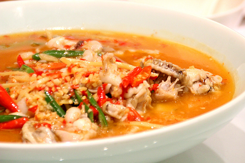 盐帮仔姜蛙 嫩滑的蛙肉,酸辣咸鲜的口感.