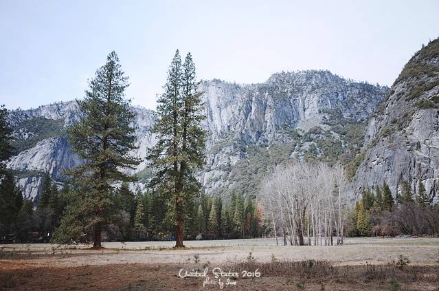 优胜美地国家公园