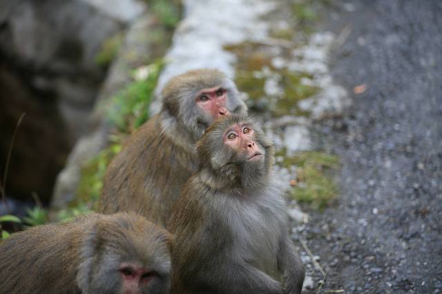 达古冰川风景名胜区
