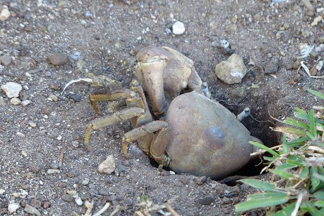 新西兰&大溪地--魔幻与科幻的蜜月之旅
