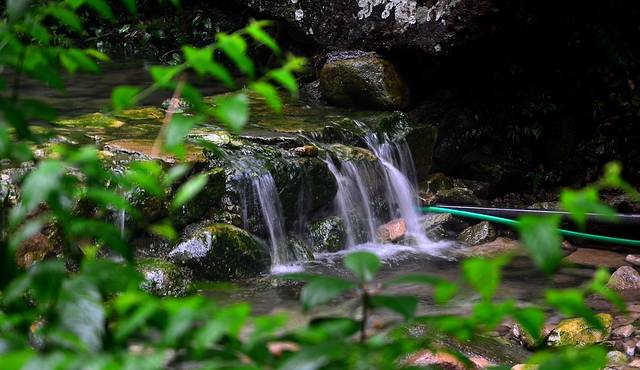 雁荡山净名谷景区
