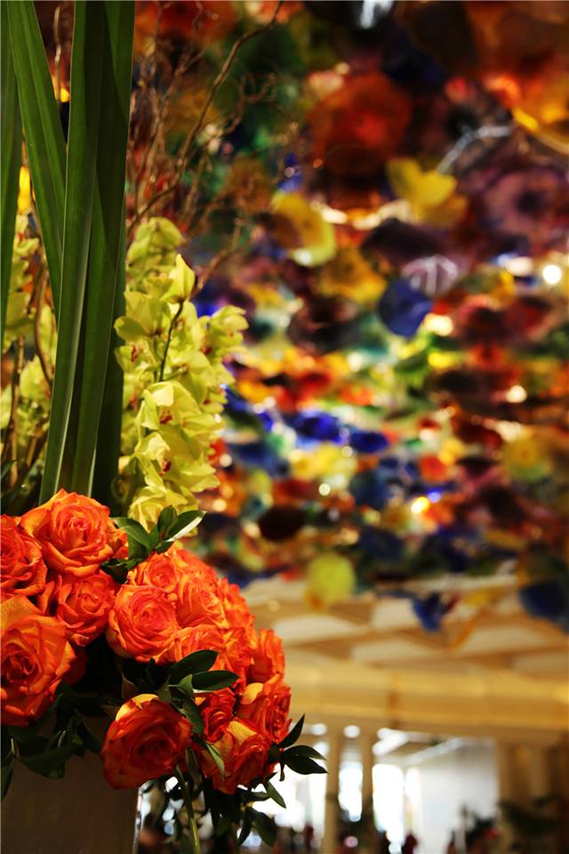 自驾去看美国的大好河山(上)