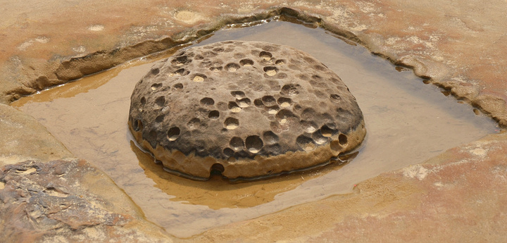 香菇的蕈状石,为野柳最具代表性的地形景观,是最引人注目的风景,游逛