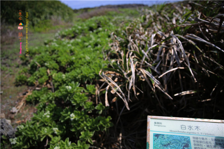 2017.感受生态平衡的景象,为了知道爱护环境的