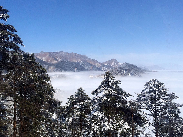 "一路上留下了无数的欢声笑语，好一个银装素裹的世界西岭雪山有连绵起伏的山峰，重重叠叠连接在一起..._西岭雪山"的评论图片