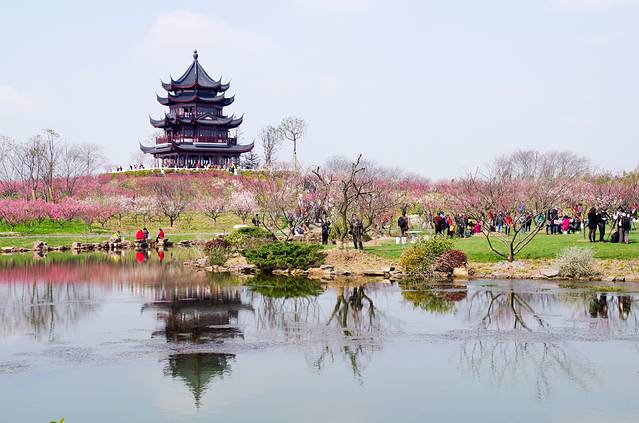上海海湾国家森林公园