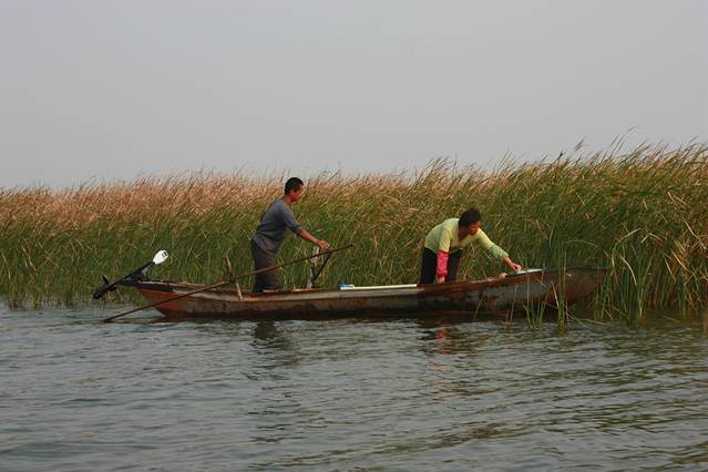 衡水湖旅游景区