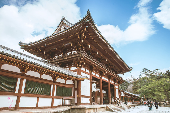 "从东大寺出来，见到如此有爱的一幕，居然来得及拿起相机拍拍拍，感觉大满足！你看看。你看看。你看看_东大寺"的评论图片