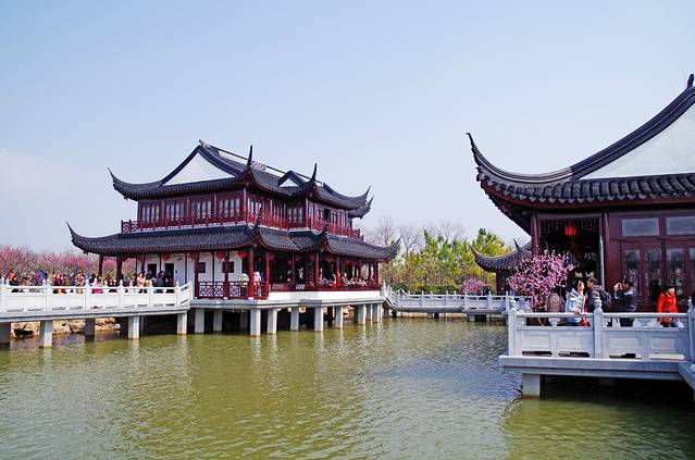 上海海湾国家森林公园