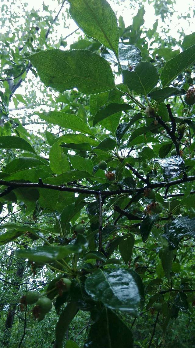 白虎涧森林公园