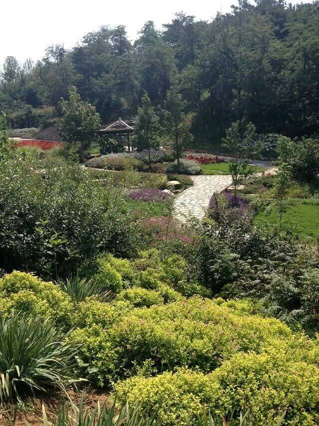 紫云花汐薰衣草庄园