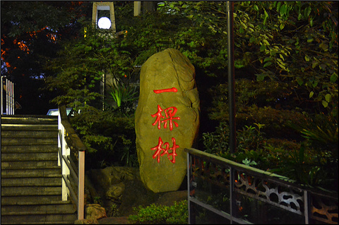 南山一棵树观景台旅游景点攻略图