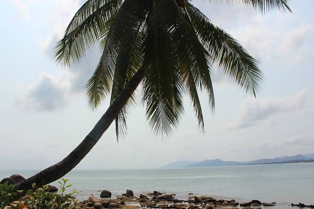 天涯海角-财富石