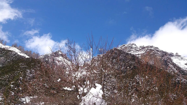 "经过昨天海拔较高的梦笔山，我觉得我爬玛嘉沟这座雪山完全不用担心高反了。木栈道上的羊群_玛嘉沟"的评论图片