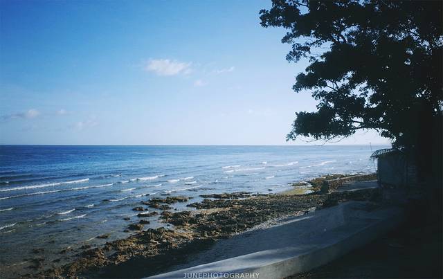 奥斯洛布鲸鲨观赏