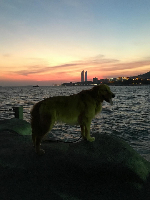 六月,梅雨的厦门_厦门旅游攻略