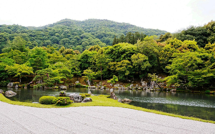 2017这里是京都人公认看樱花最美的地方_岚山