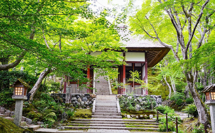 2017这里是京都人公认看樱花最美的地方_岚山