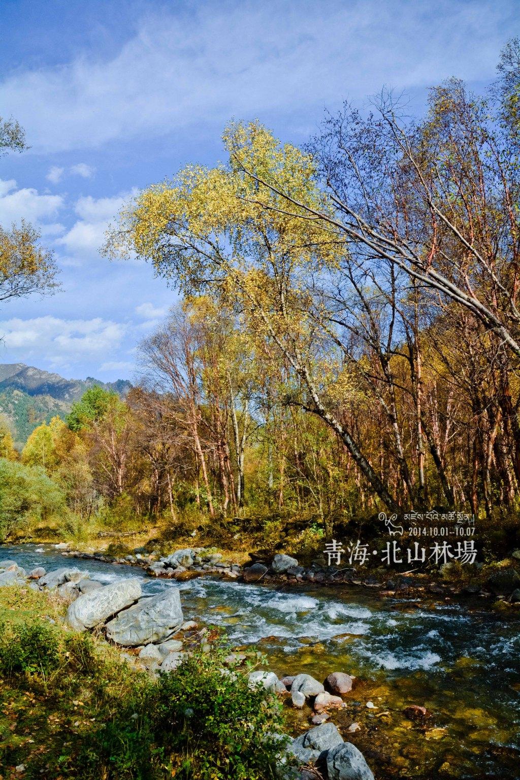青海北山林场也称互助北山国家森林公园,位于青海省互助县北山,面积