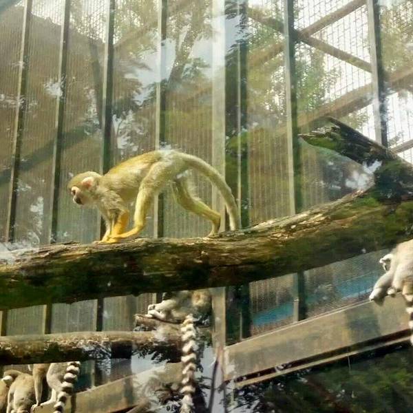 2019北京动物园门票,北京北京动物园游玩攻略