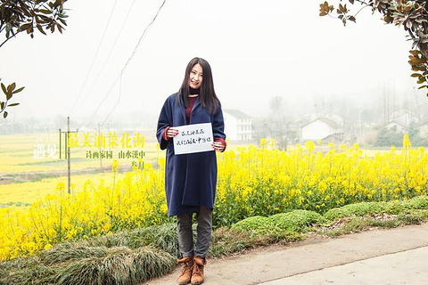 天荡山旅游景点攻略图