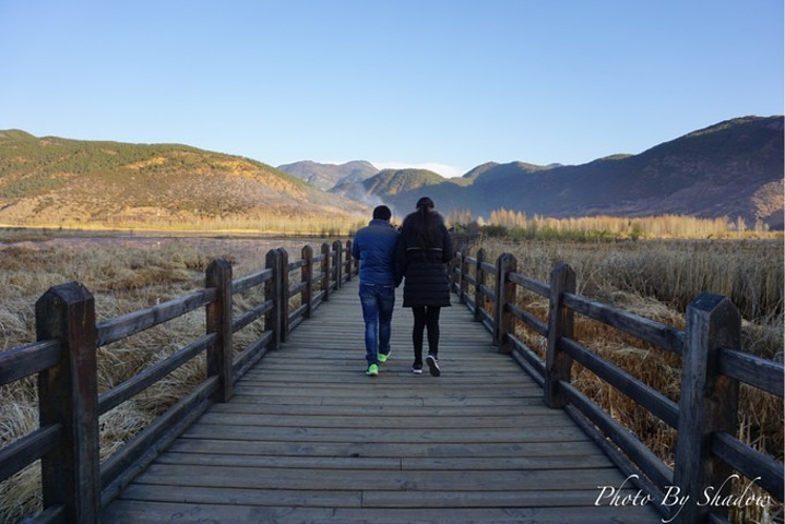 去了走婚桥走走听说情侣的话要背过去再拖手回来在走婚桥可以看到草海