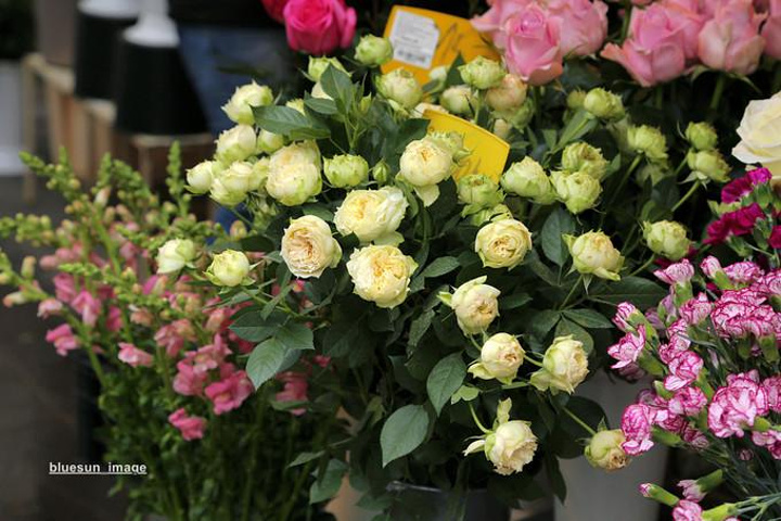 2017还有很多美丽的鲜花和手工艺品_Dolac评论 - 去哪儿攻略社区