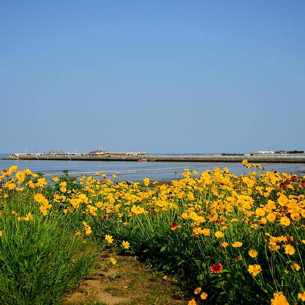 2016桃花岛风情园_旅游攻略_门票_地址_游记点评,日照旅游景点,酒店