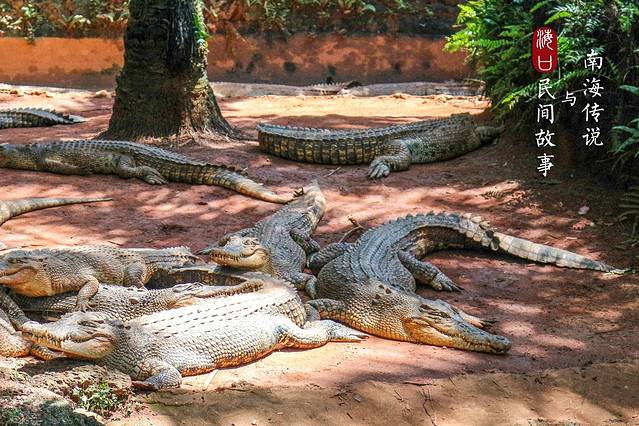 海南热带野生动植物园