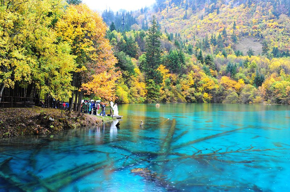 这个季节是最最适合去九寨沟看水的季节-阿坝旅游攻略-游记-去哪儿攻略
