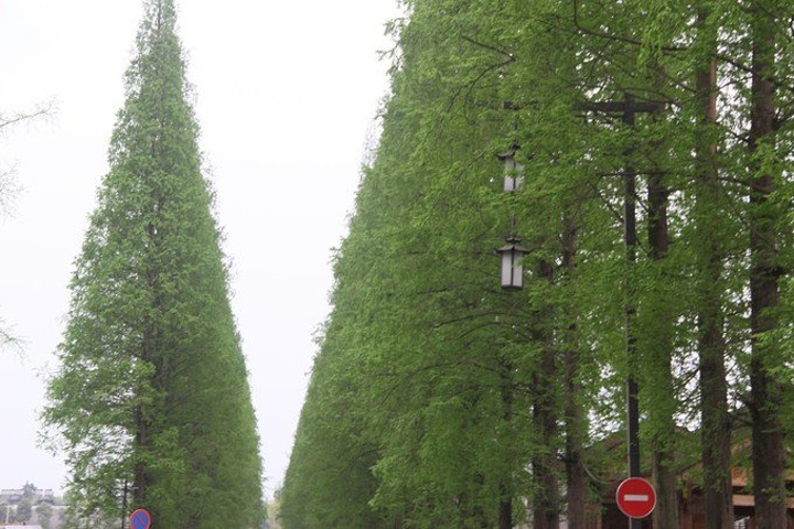 2018回成都是从青城山坐高铁回去的,时间还早