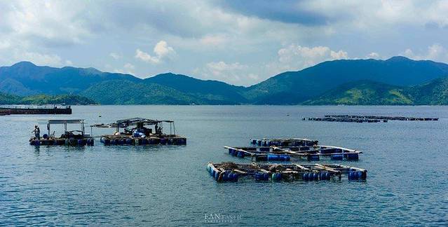 马料水公众码头