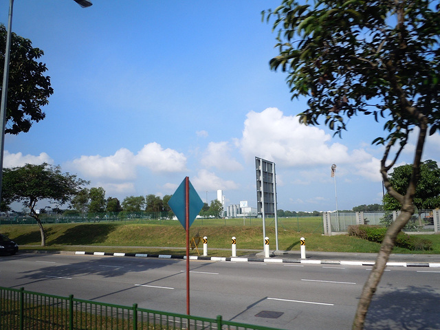 每天来往路上的新加坡街景给我印象最深, 干净