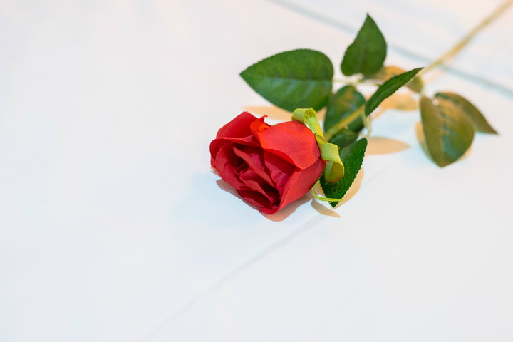 旅行途中的小确幸