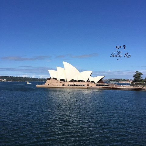 2017悉尼歌剧院是值得参观的 如果是英文tour