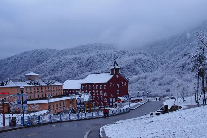 "寒冬里，在西岭雪山就可以享受雪花纷飞的视觉盛宴_西岭雪山"的评论图片