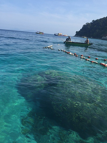 2021最具特色的蓝珊瑚，缤纷瑰丽的海藻，七彩斑斓奇形怪异的鱼群与您擦 