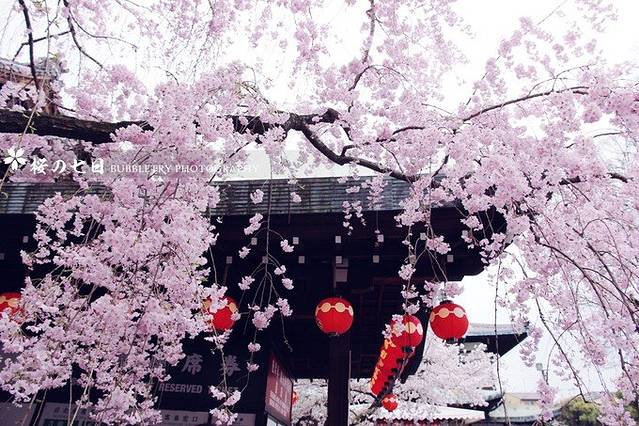 祗园新地歌舞练场