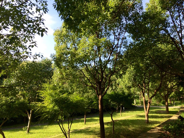 2017普陀山是观音菩萨的教化众生道场,每年都