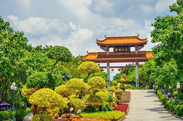 莲花禅寺