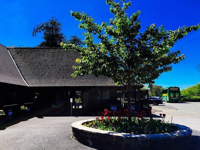 再见爱尔兰,再见我的童话校园